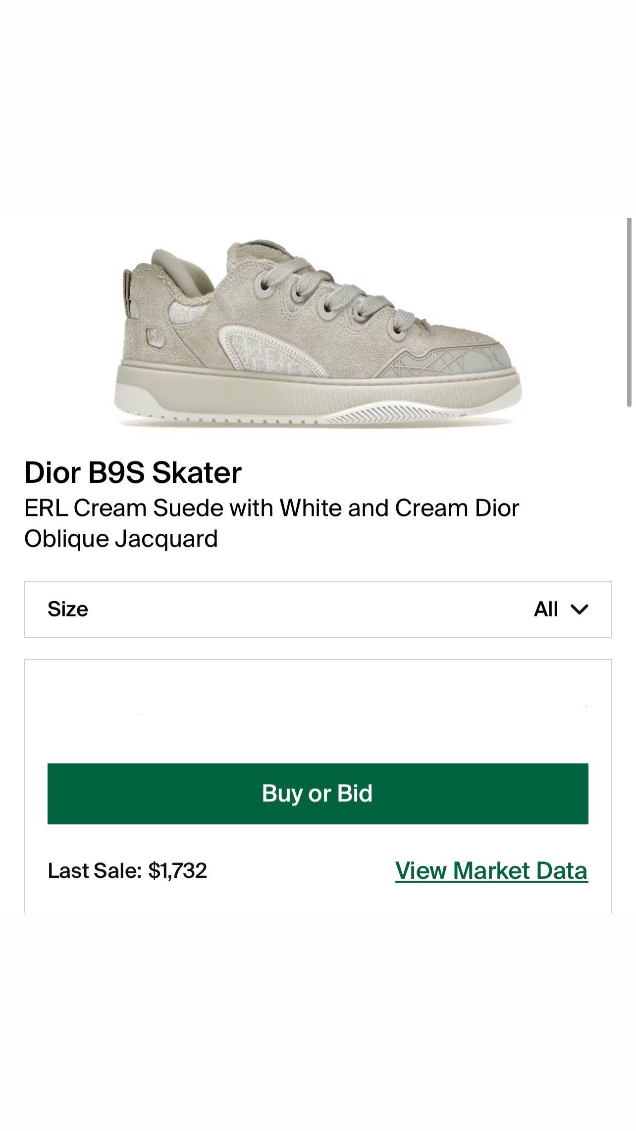 Dior x ERL B9S Skate Sneakers - Size 46